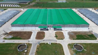 Sütaş Doğu-Güneydoğu Anadolu Sütçülük Projesi 443