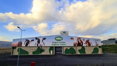 Sütaş Doğu-Güneydoğu Anadolu Sütçülük Projesi 385