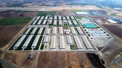 Sütaş Doğu-Güneydoğu Anadolu Sütçülük Projesi 388