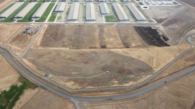 Sütaş Doğu-Güneydoğu Anadolu Sütçülük Projesi 394