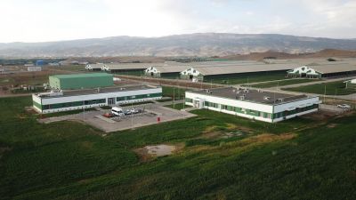 Sütaş Doğu-Güneydoğu Anadolu Sütçülük Projesi 412