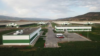 Sütaş Doğu-Güneydoğu Anadolu Sütçülük Projesi 395