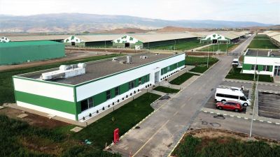 Sütaş Doğu-Güneydoğu Anadolu Sütçülük Projesi 405