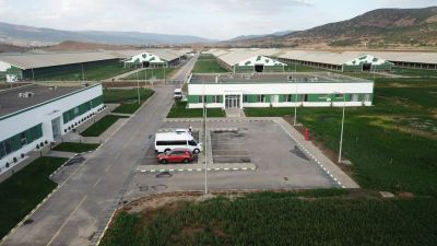 Sütaş Doğu-Güneydoğu Anadolu Sütçülük Projesi 397