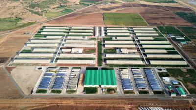 Sütaş Doğu-Güneydoğu Anadolu Sütçülük Projesi 400