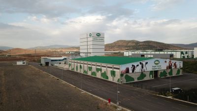 Sütaş Doğu-Güneydoğu Anadolu Sütçülük Projesi 416