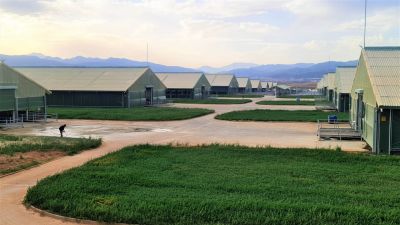 Sütaş Doğu-Güneydoğu Anadolu Sütçülük Projesi 382