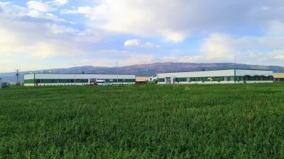 Sütaş Doğu-Güneydoğu Anadolu Sütçülük Projesi 398