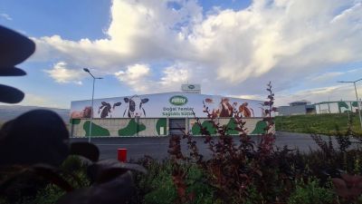 Sütaş Doğu-Güneydoğu Anadolu Sütçülük Projesi 387