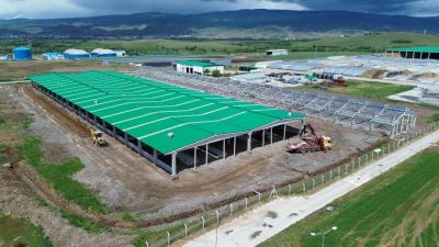 Sütaş Doğu-Güneydoğu Anadolu Sütçülük Projesi 441