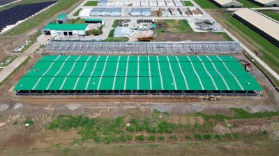 Sütaş Doğu-Güneydoğu Anadolu Sütçülük Projesi 442