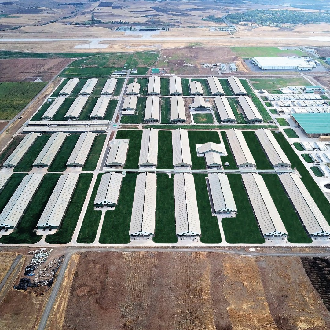 Sütaş Doğu-Güneydoğu Anadolu Sütçülük Projesi